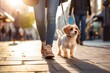 dog walking with unrecognizable owner in city street crosswalk, AI Generated