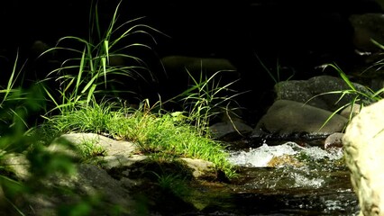 Wall Mural - Beautiful landscape of transparent water flowing in summer, Environment or nature, Nobody, Slow motion