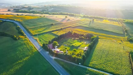 Wall Mural - Drone shot of a road in grassland during the golden hour of the day