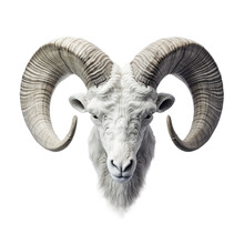 Transparent Backround With Isolated Ram Horns