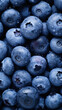 Freshly harvested blueberries with water drops, blue fruit wallpaper for phone. 