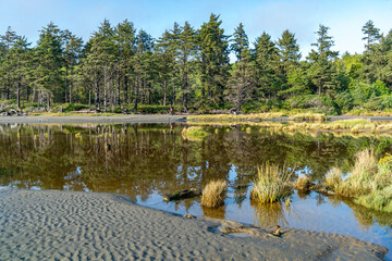 Moclips River Landscape 2