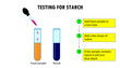 The process of testing for starch