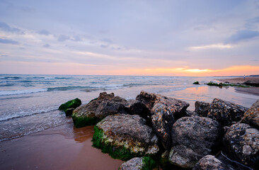 Sticker - Landscape with sea shore, stones on the sand beach.
