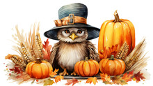 Owl Wearing Pilgrim Hat With Pumpkin Decoration Around In Watercolor Design Isolated Against Transparent Background