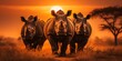 three big african rhinos in the sunset, big five wildlife safari