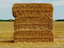 Large Stacked Straw Bales In Closeup View. Golden Color Harvested Rural Farm Field And Green Forest Patches In The Background Under Blue Sky. Agriculture And Farming Concept.