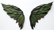 Fantasy wings made of green leaves isolated on white