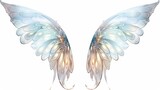 Colorful fantasy fairy wings isolated on white background.