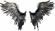 Black bird wings, grunge style, isolated on white
