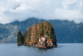 Wall Mural - View of island from Kenai Fjords National Park Cruise tour in Alaska, USA.