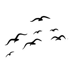 set of silhouettes of birds