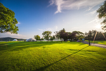 Wall Mural - Tents for camping on the lawn on a sunny day, travel theme.