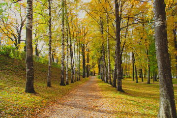 Wall Mural - Autumn park landscape . Golden autumn in the city park. Photos on the calendar. Season. September, October, November