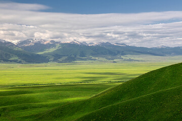 Wall Mural - Natural scenery of Narat prairie in Xinjiang