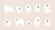 Cute Cartoon Samoyed Dog set