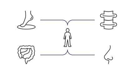 Canvas Print - human body parts outline icons set. thin line icons such as foot side view, spine bone, standing human body, large intestine, e side view vector.