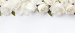 © HN Works - A banner for a website header design featuring a wedding bouquet of white roses on a white background with a soft focus. copy space available.