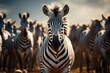 Herd of zebras - Deep in the African plains - AI Generated
