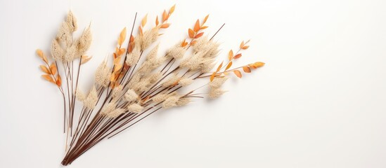 Autumn Creative Composition with beige reeds and branches bouquet on a white background. The concept represents fall. is a flat lay with a top view and has copy space available.