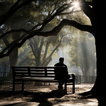 A Person Sitting Alone On A Park Bench Their Face Hidden In The Shadows Of A Nearby Tree Chin Rested On Their Hand As They Ponder