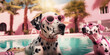 dalmatian pink sunglasses at the pool, palm trees and pink resort behind, wearing pink collar, an illustration 