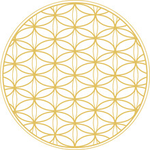 Flower Of Life, Sacred Geometry Sign, Graphic Design On White Background.