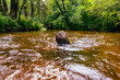 © Micha - Tanew river