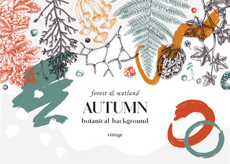 Hand drawn autumn forest background. Collage style banner with ferns, mushrooms, fall leaves and autumn plant sketches. Trendy botanical design template with abstract elements, geometric shapes