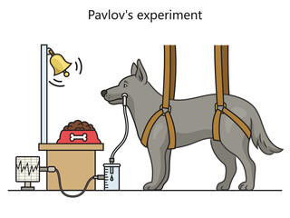 Wall Mural - Ivan Pavlov research on dog reflex setup classical conditioning diagram schematic raster illustration. Medical science educational illustration