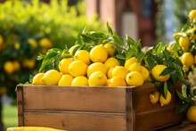 Ripe Yellow Lemons In The Wooden Box. Close-up, Italian Vibes