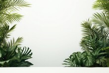 Summer Tropical Palm And Monstera Leaves On White Wall Background. Empty Space For Product Placement Or Promotional Text.