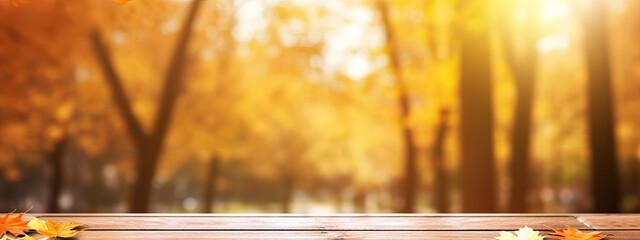 Wall Mural - Beautiful colorful natural autumn background for presentation. Wooden boards on the background of a blurred autumn park