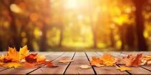 Beautiful Colorful Natural Autumn Background For Presentation. Fallen Dry Orange Leaves On Wooden Boards Against The Backdrop Of A Blurry Autumn Park