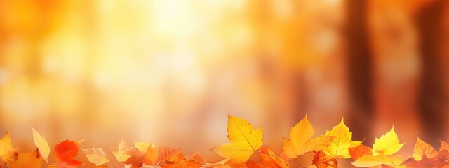 Wall Mural - Colorful universal natural panoramic autumn background for design with orange leaves and blurred background