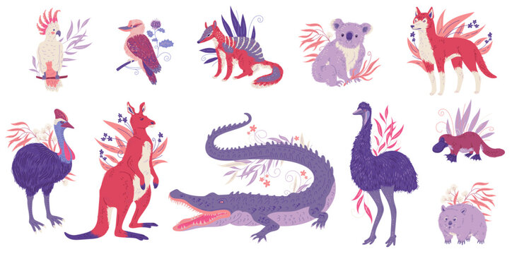 Wall Mural -  - Australian exotic animals characters set, flat vector illustration isolated.