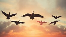 Birds Of Freedom Wildlife Geese Flock In The Sky