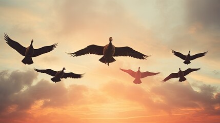 Poster - Birds of freedom wildlife geese flock in the sky