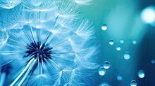 Macro Image Of A Dandelion Seed With A Water Drop On It Set Against A Vivid Blue And Turquoise Backdrop Free Space For Text Vibrant And Artistic