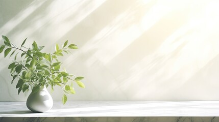 Poster - Sunlit branch with green leaves casting shadow on white marble tile wall wood table copy space