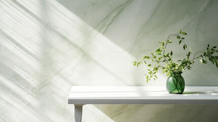 Poster - Green branch of tree with shadow against white marble tile wall and wood table with copy space in the spring sunlight