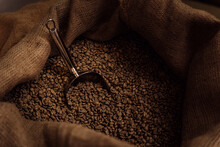 From Above Of Metal Scoop In Burlap Bag Filled With Aromatic Roasted Coffee Grains
