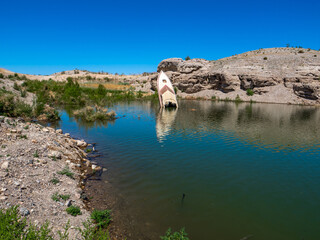 Wall Mural - Sunken Boat in Lake Mead