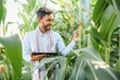 © Serhii - Indian farmer using tablet at agriculture field. An agronomist inspects the corn crop.