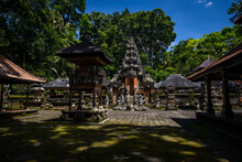 Monkey Forest (Ubud, Bali, Indonesia)