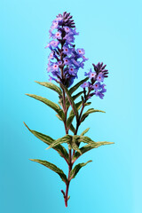 Poster - An vibrant image of a Blue vervain (Verbena hastata) splashed in bright paint,  Generative AI technology.