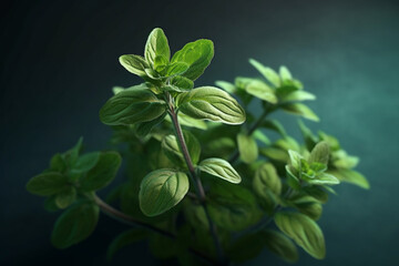 Aufkleber - A photo capturing the delicate leaves of oregano, with their distinctive aroma and characteristic shape.  Generative AI technology.