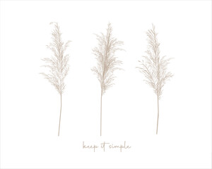 pampas silhouettes of trees