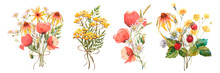 Set Watercolor Bouquet Of Yellow Echinacea And Poppy Flowers, Chamomile, And Field Herbs. Template For Invitations, Postcards