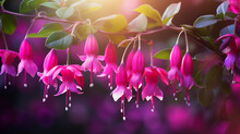 Fuchsia Garden Vitality. Vitality And Life Brought By The Fuchsia Flowers In A Spring Garden. Symbolizing The Dynamic Energy Of The Season. Generative Ai